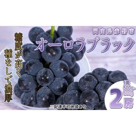 ふるさと納税 ぶどう 2024年 先行予約 オーロラブラック 2房 1房 500g〜600g 贈答用 ブドウ 葡萄 フルーツ 果物 岡山 赤磐市産 農マル園芸 あか.. 岡山県赤磐市