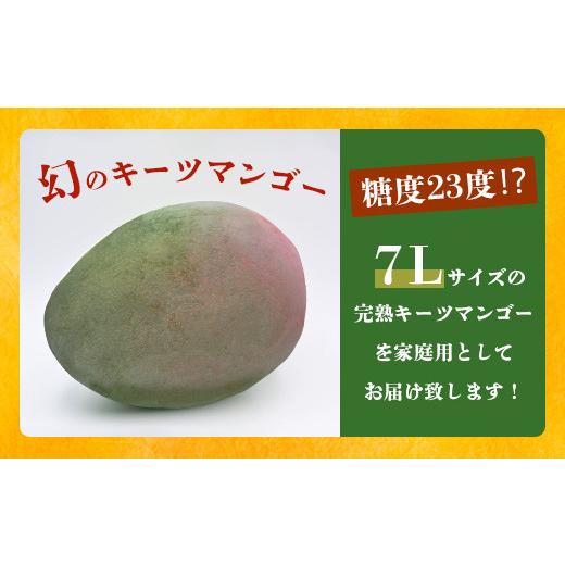 ふるさと納税 沖縄県 石垣市 《2024年6月下旬〜7月下旬発送》最高糖度23度！？ 完熟！7Lサイズ お得な幻のキーツマンゴー【 沖縄 石垣島 石垣 八重…