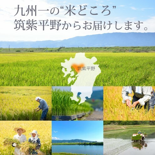 玄米 10kg 食べ比べ セット 特A米 元気つくし A米 夢つくし 各5kg 計2袋 福岡県産 玄米 米 コメ