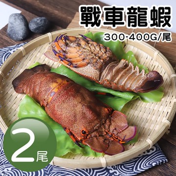 【築地一番鮮】戰車龍蝦｜300/400g｜2尾