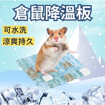 【有感降溫】倉鼠降溫板 降溫水晶 降溫板