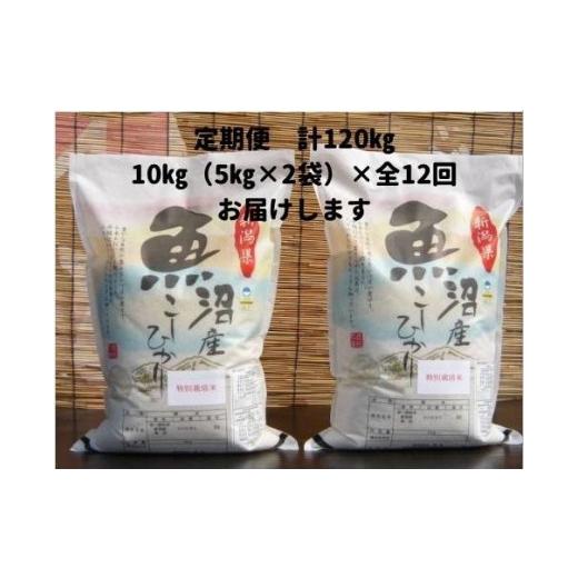 ふるさと納税 新潟県 南魚沼市 令和５年産新米がんこおやじが作った南魚沼産コシヒカリ白米１０kg（５kg×２袋）