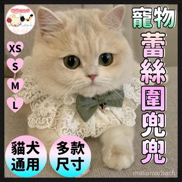 【寵物蕾絲圍兜兜】寵物裝飾 寵物項圈 狗狗項圈 貓咪項圈 狗項圈 貓項圈 小型犬項圈 項圈 狗頸圈 貓頸圈