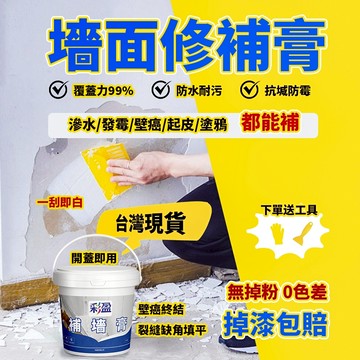 墻面修補膏 補墻膏 修補 墻癌 油漆 補土 墻壁修補膏 壁癌修補膏 補土膏 防水補土 防水補墻膏 壁癌漆 磁磚修補膏