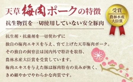 熊本県産 天草梅肉ポーク 豚肩スライス 1.5kg 冷凍