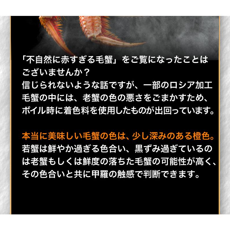 ポイント5倍 御歳暮 お歳暮 ギフト お正月 毛ガニ 北海道産 プレミアム毛蟹 超特大約1kg（3特・4特）1杯 送料無料 産地直送 Y凍