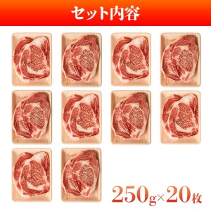 訳アリ！博多和牛サーロインステーキセット　5kg（250g×20枚）