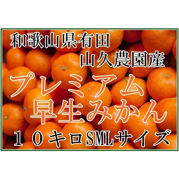 [予約 2023年11月1日-11月30日の納品] 赤秀限定 和歌山県産 有田みかん 10kg箱 SML 冬ギフト お歳暮 御歳暮