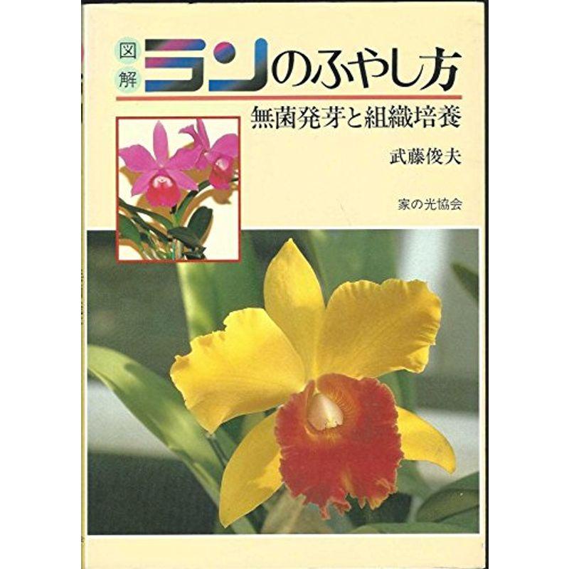 図解 ランのふやし方?無菌発芽と組織培養