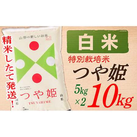 ふるさと納税 山形県産つや姫10kg(5kg×2袋) 山形県最上町