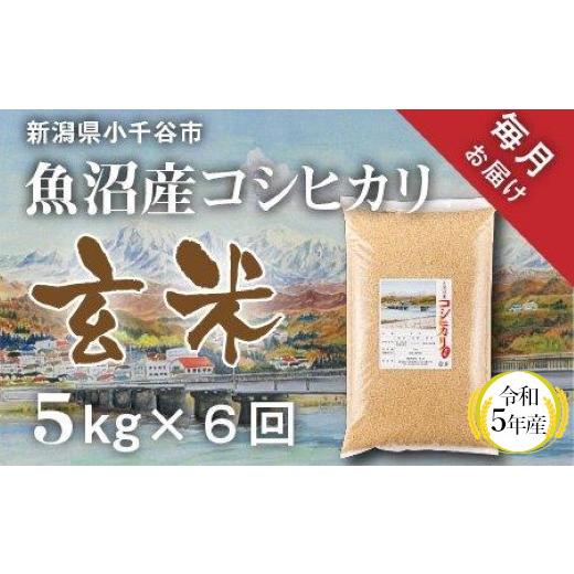 ふるさと納税 新潟県 小千谷市 r05-50-1KT 〔定期便 毎月〕〔玄米 選別品〕令和5年産 魚沼産コシヒカリ玄米定期便 5kg×6回（米太）