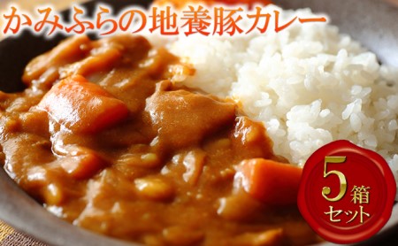 かみふらの地養豚カレー5箱セット