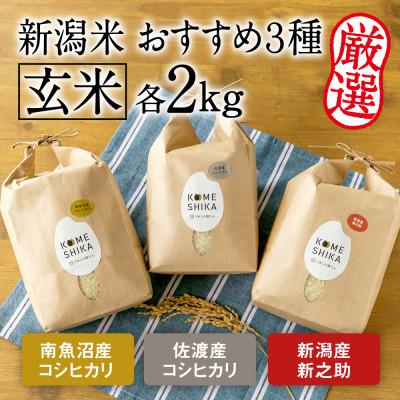 ふるさと納税 新潟県 令和5年産新米玄米各2kg 南魚沼産コシヒカリ・佐渡産コシヒカリ・新潟産新之助