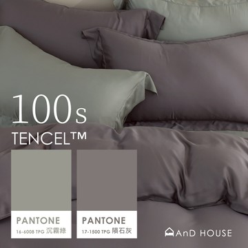 AnD House 天絲100支 隕石灰 ✖ 沉霧綠 雙色配-床包被套組｜安庭家居 素色 混搭