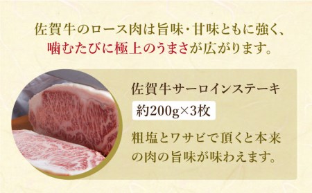 佐賀牛 サーロイン ステーキ 600g（約200g×3枚）霜降り 黒毛和牛[HAA005]