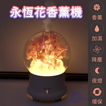 【Besthot】永恆花香薰機－四色可選