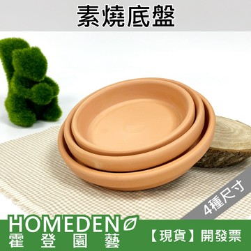 【隔日到貨】素燒底盤 紅土水盤 花盆水盤 花盆底盤【HOMEDEN霍登園藝】