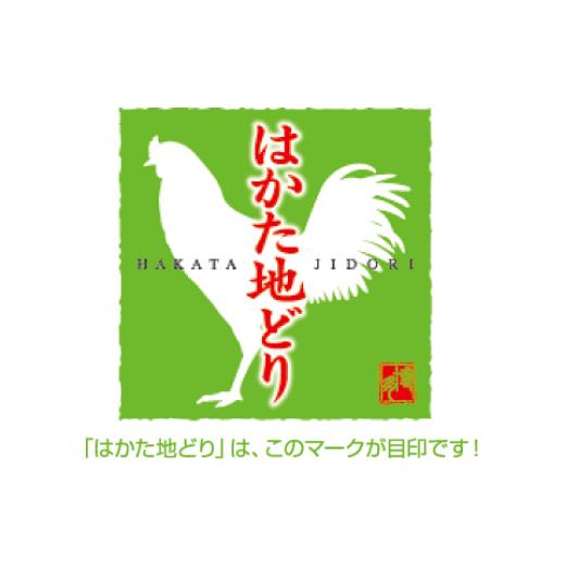 ふるさと納税 福岡県 福智町 M12-05 はかた地どり 炭火焼500g＆水炊き(2〜3人前)セット