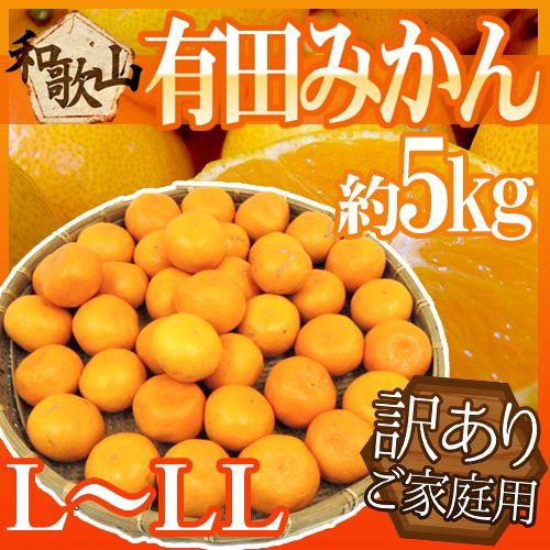 みかん 和歌山産 ”有田みかん” 訳あり L〜LLサイズ 約5kg ありだみかん 送料無料