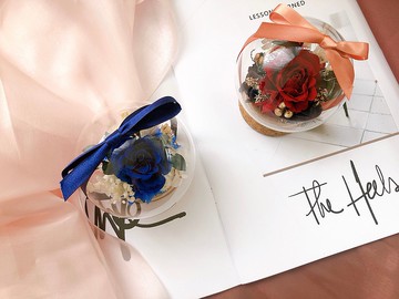 永生花 玻璃罩 永生玫瑰花 乾燥花 紀念日禮物 祝賀禮物 盆花