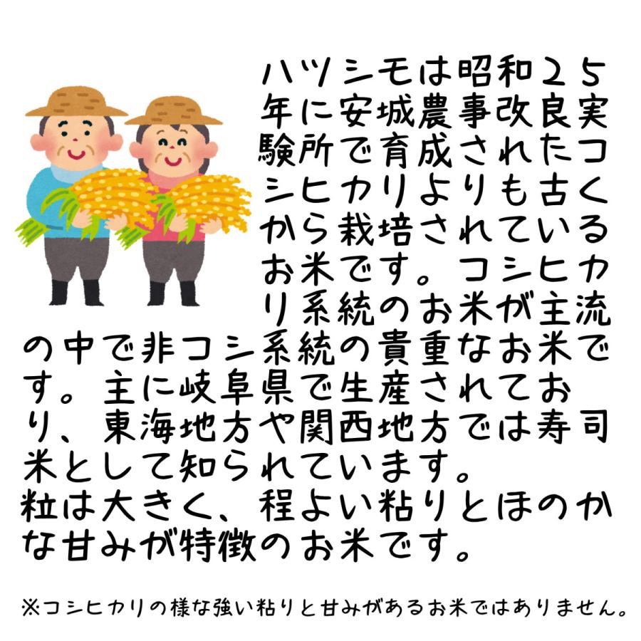 ハツシモ はつしも 寿司米 大粒 岐阜県産 10kg 令和5年産 白米 5kg×2袋