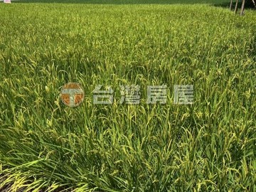 高鐵預定擴大區增值美農地｜宜蘭縣壯圍鄉新福段