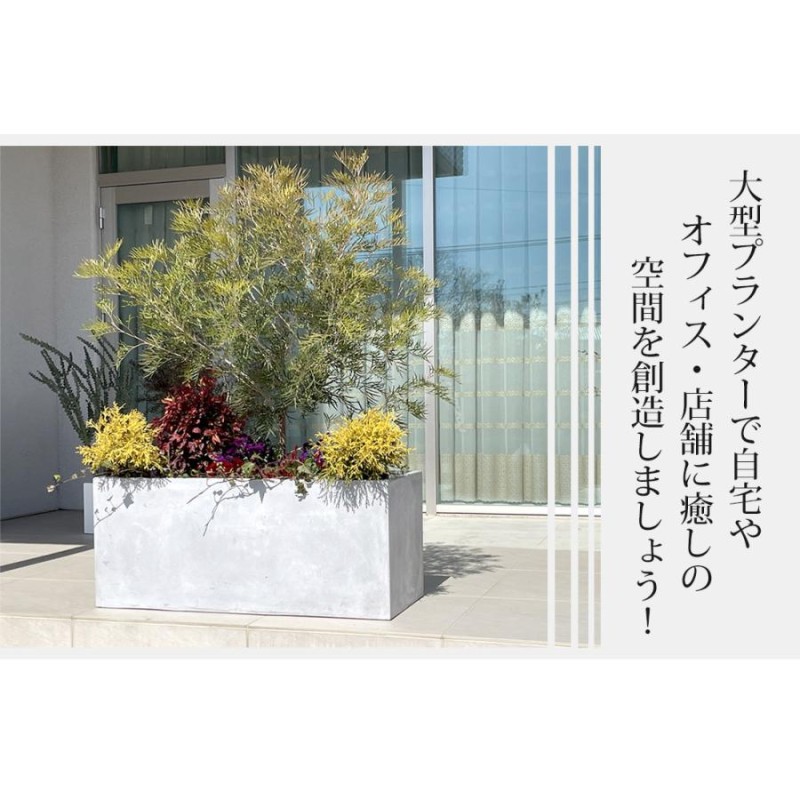 植木鉢 大型 プランター おしゃれ ガーデニング用品 幅60×奥行30×高さ30cm 長方形 ホワイト グレー スクエア 屋外 屋内 ファイバークレイ  | LINEブランドカタログ