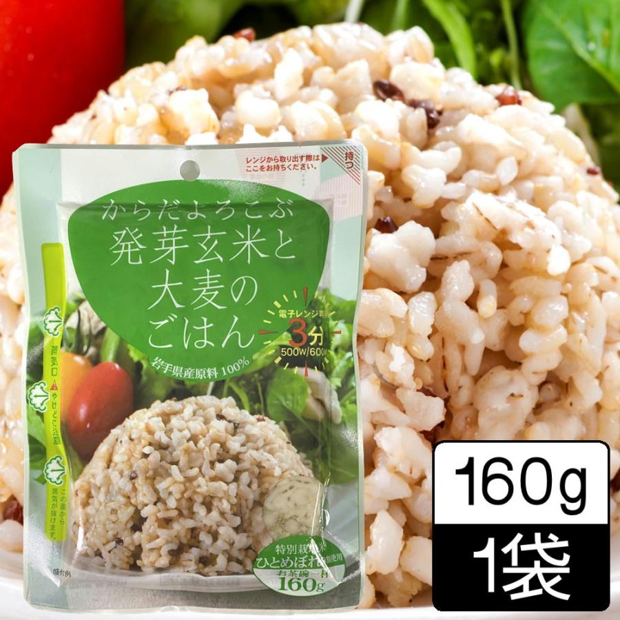 パックご飯 雑穀 発芽玄米と大麦のごはん 160g×1袋 国産 レンジご飯 レトルト