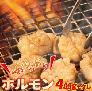 大人気焼肉屋さんのご家庭で簡単！ホルモン焼きセット／Amu-01