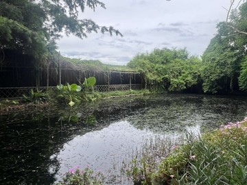新社區景觀特色精心打造休閒田園農場｜台中市新社區水底寮段上水底寮小段