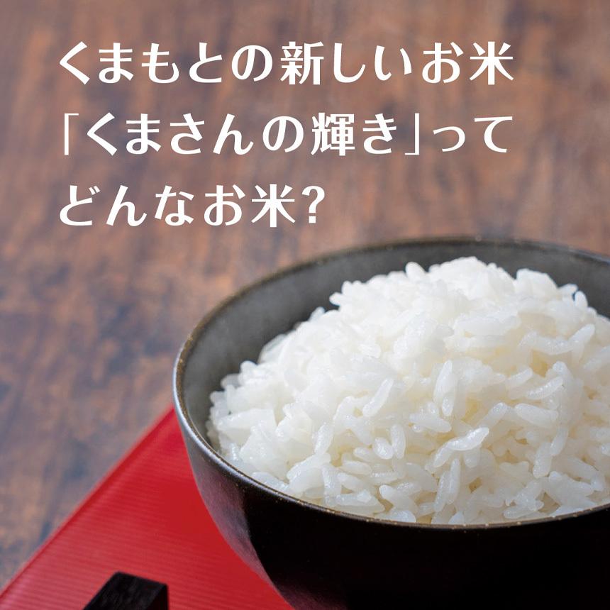 熊本県産 くまさんの輝き 1.5kg お米 精米 白米 300ｇ×5袋  1500g 国産