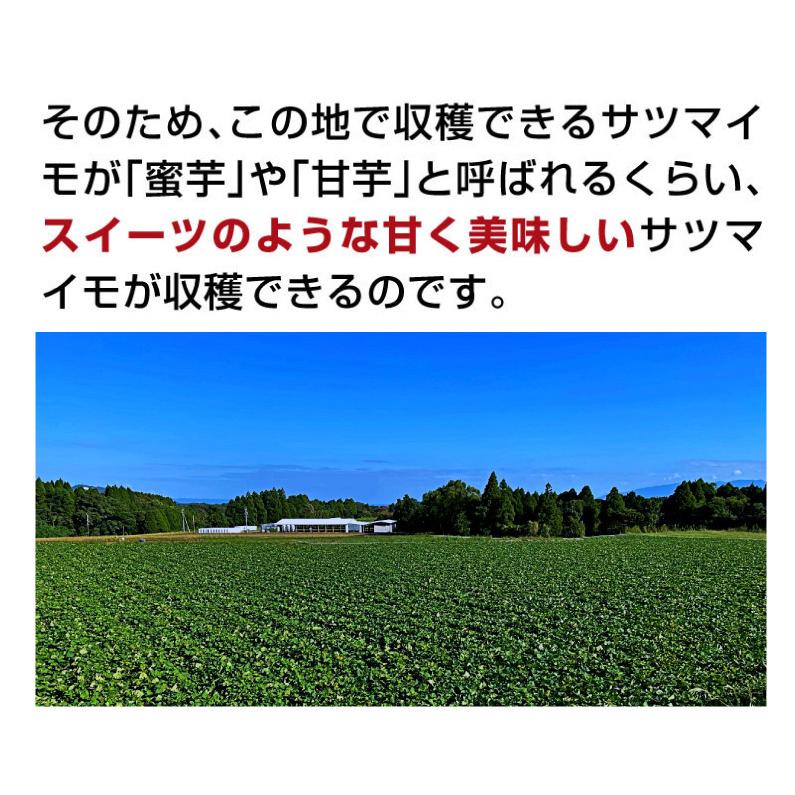 さつまいも 紅はるか A品 生芋 Sサイズ80g〜130ｇ土つき 鹿児島 産地直送 3kg×1箱 送料無料 S常