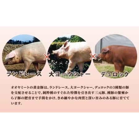 ふるさと納税 北海道 豚ひき肉 普通挽き あら挽き 200g 15パック 計3kg 伊達産 黄金豚 三元豚 ミンチ 挽肉 お肉 小分け ハンバーグ 餃子 カレー .. 北海道伊達市