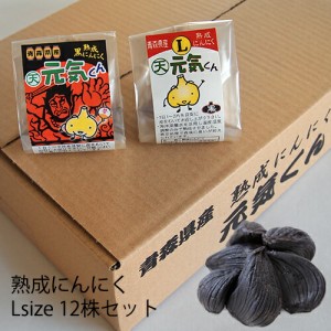 黒ニンニク 青森県産 発酵にんにく （2.5ヶ月分）国産 送料無料 熟成ニンニク 無添加 ギフト プレゼント