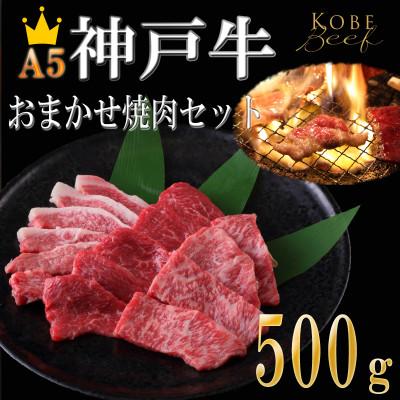 ふるさと納税 神戸市 焼肉おまかせセット 500g(霜降り・赤身・カルビ