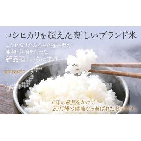 ふるさと納税 無洗米の定期便12回お届け！米どころ福井の無洗米！無洗米いちほまれ10kg×12回 [e27-m001] 福井県 無洗米 いちほまれ.. 福井県越前町