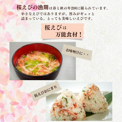 ふるさと納税 焼津市 焼津特選 干し桜えび 25g×5(a15-561)