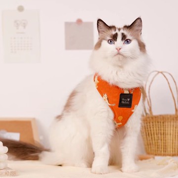 【美好毛日】Pawsholic爪迷 貓用背心胸背-小浣熊