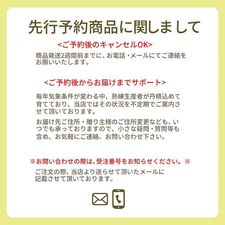 さくらんぼ 佐藤錦 1kg バラ詰め 山形 秀品 山形県産 サクランボ 送料無料 贈答用 取り寄せ 化粧箱入 ギフト