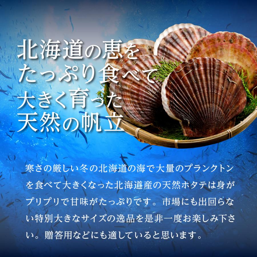 訳あり 北海道産 生ホタテ貝柱 1kg お刺身 生ほたて 帆立 わけあり 刺身 バター焼き フライ 海鮮丼 手巻き寿司 おつまみ 寿司ネタ ギフト