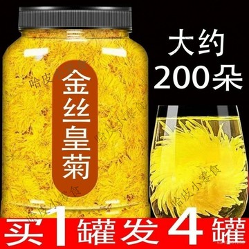 哈皮 菊花茶菊花金絲皇菊一朵一杯特級搭配枸杞金銀花大黃菊罐裝花草茶