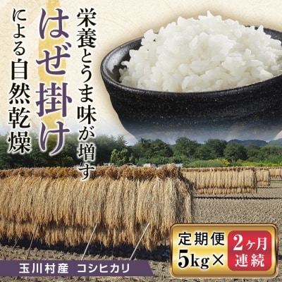 《定期便》昔ながらのはぜ掛けで自然乾燥させたコシヒカリ精米5kg 2ヶ月連続