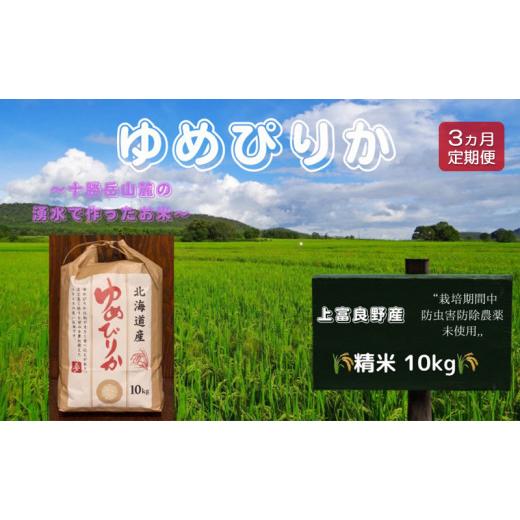 ふるさと納税 北海道 上富良野町 北海道 上富良野産「 新米 ゆめぴりか 」特別栽培 白米 10kg（令和5年産）