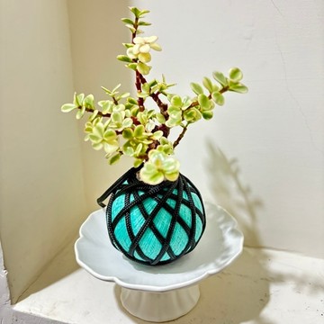 ☘️雅樂之舞苔球☘️雅樂之舞+高腳瓷器盆、手作苔球 多肉、療癒小品、泥炭土