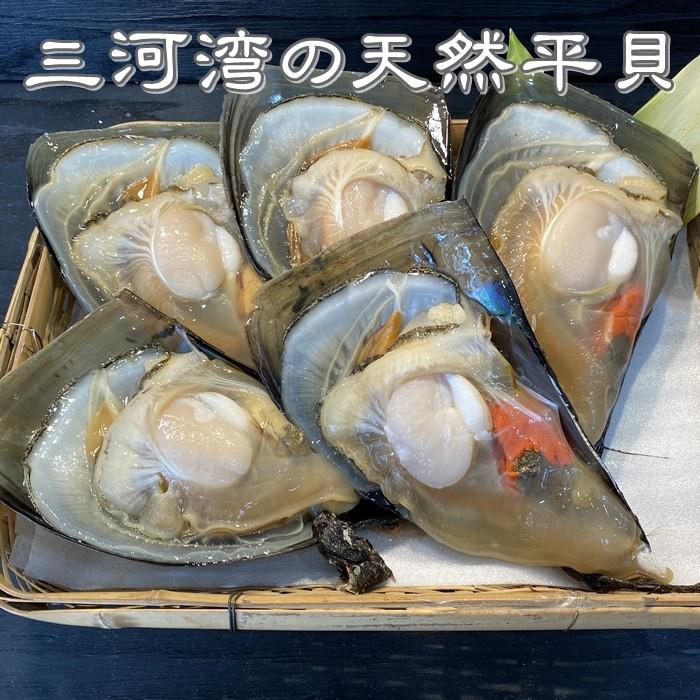 天然貝の６種 〜ご自宅で本格おつまみセット〜 (愛知県産）送料無料