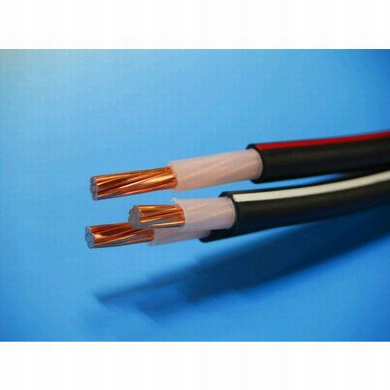 600V CVT60SQ CVTケーブル60mm2 JIS C 3605 通販 LINEポイント最大0.5%GET | LINEショッピング