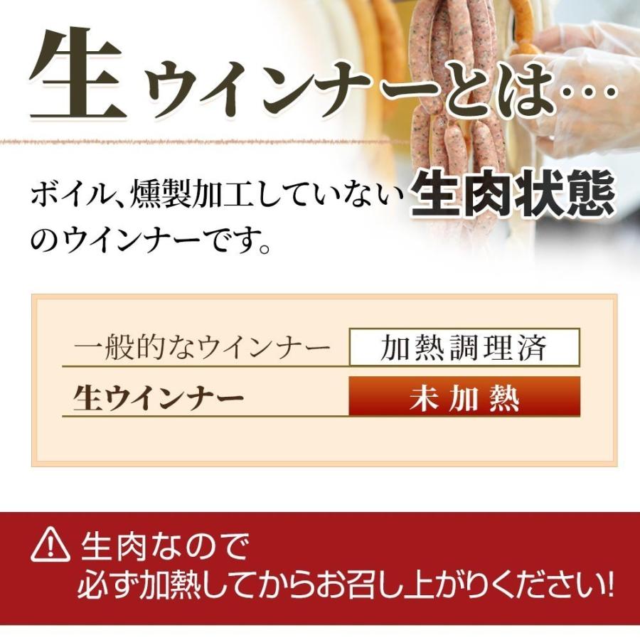 やまと豚 生ウインナー (チョリソー) セット 1kg NS-CD [冷凍] お歳暮 御歳暮 2023 食品 内祝い ギフト 食べ物 ウインナー ソーセージ 無添加 お肉