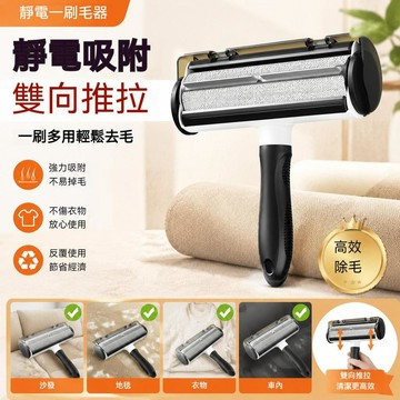 台灣出貨 靜電黏毛神器 黏毛滾輪 寵物粘毛器 靜電除毛刷 便携清潔刷 貓條刷 高效除毛清潔刷 除毛清潔專家