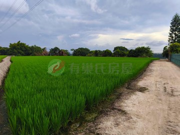 三崁一般農地地主決心要賣價格好談｜台中市外埔區三崁段