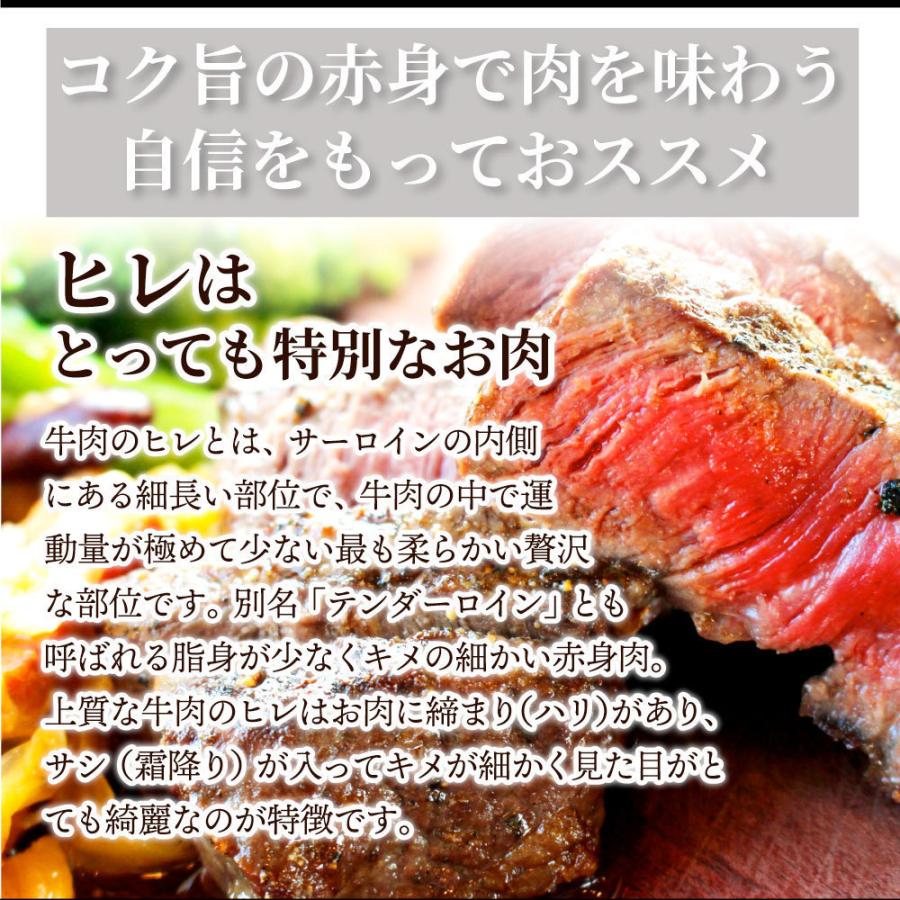 牛肉 ヒレ ステーキ 詰め合わせ 100g×20枚セット 赤身 牛 ヒレ肉 バーベキュー BBQ グルメ お歳暮 ギフト 食品 プレゼント キャンプ キャンプ飯